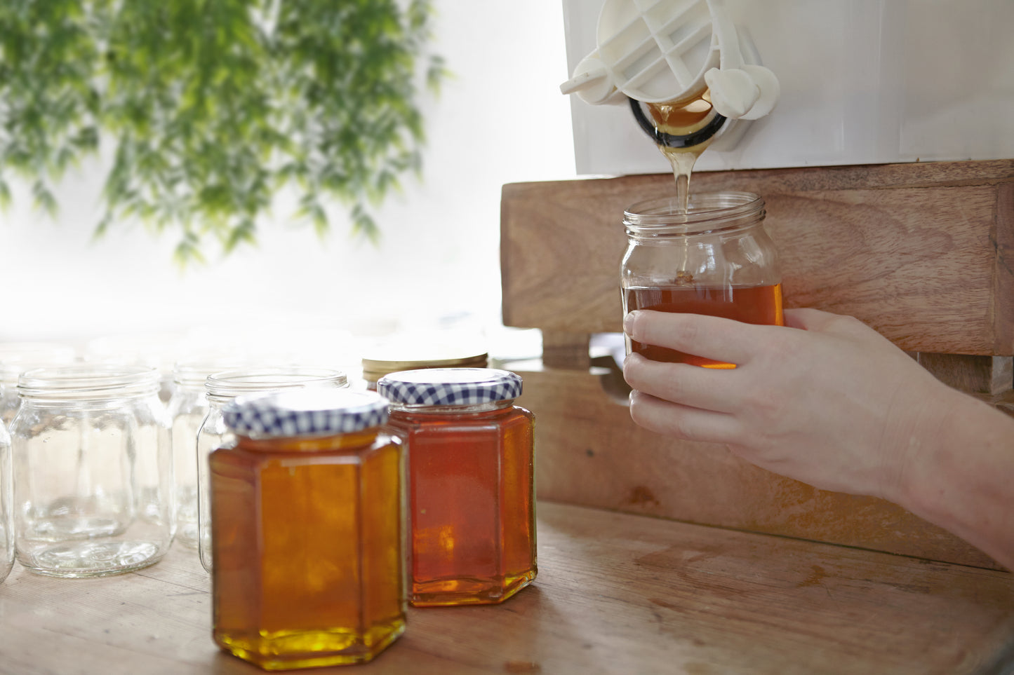 Raw Unpasteurized Unfiltered Honey image 0